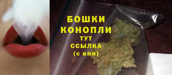 трава Наволоки