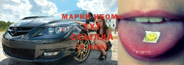 стаф Богданович