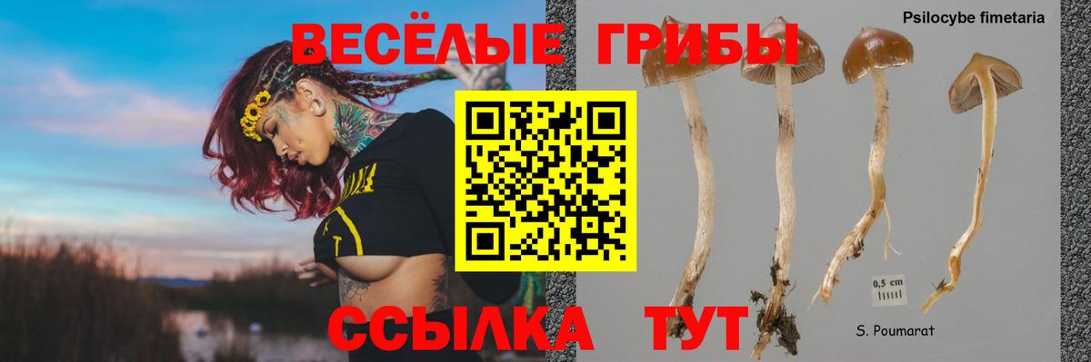 Галлюциногенные грибы мухоморы  сколько стоит  Псилоцибиновые грибы мицелий  Шарыпово 